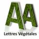 ⚞ FICHIER ⚟ Lettres Végétale - Création en Ligne