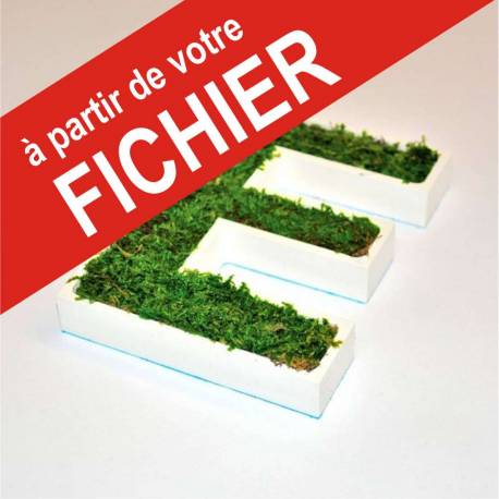 ⚞ FICHIER ⚟ Lettres Végétale - Création en Ligne