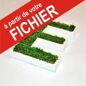 ⚞ FICHIER ⚟ Lettres Végétale - Création en Ligne - "TYPE : N"